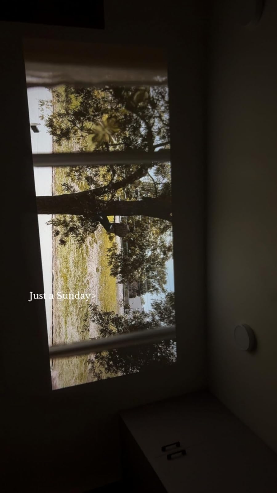 Legend Pro Certified photo review